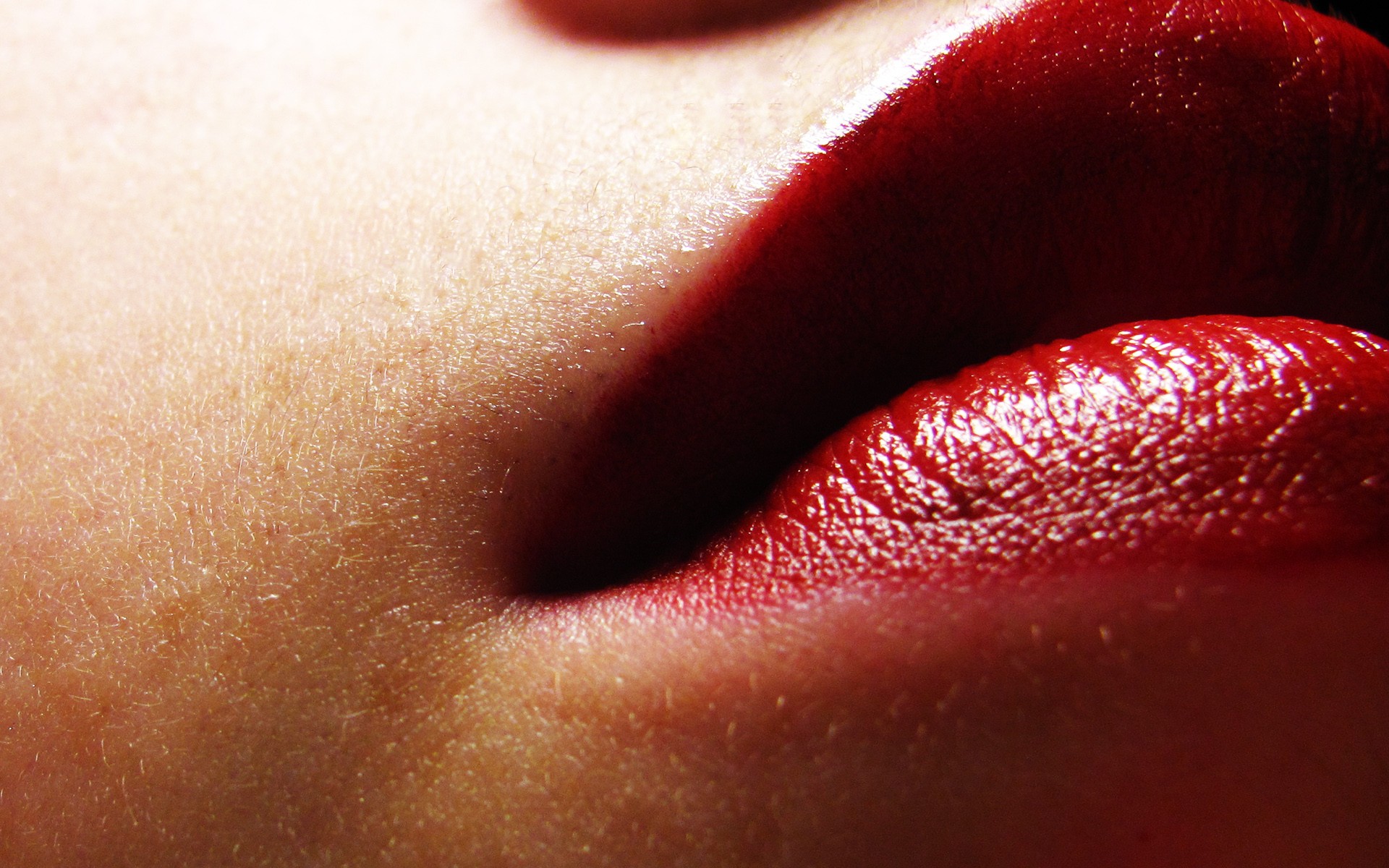 입술 벽지,말뿐인,빨간,확대,립스틱,입