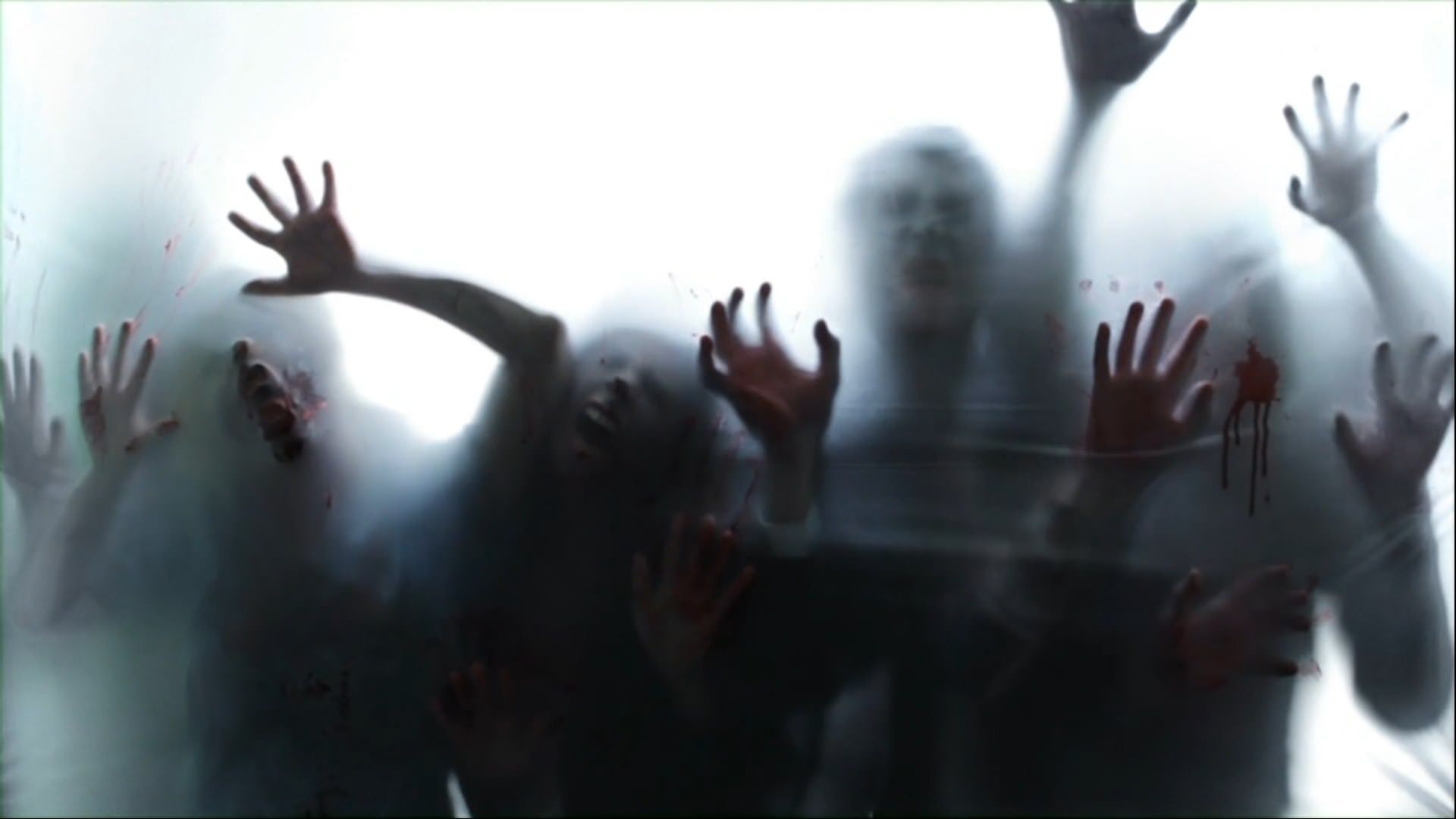 zombie live wallpaper,fotografia,leggero,istantanea,divertimento,fotografia