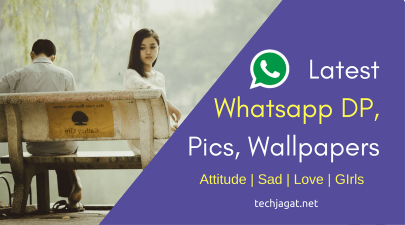 latest whatsapp wallpapers,text,font,adaptation,organism,furniture