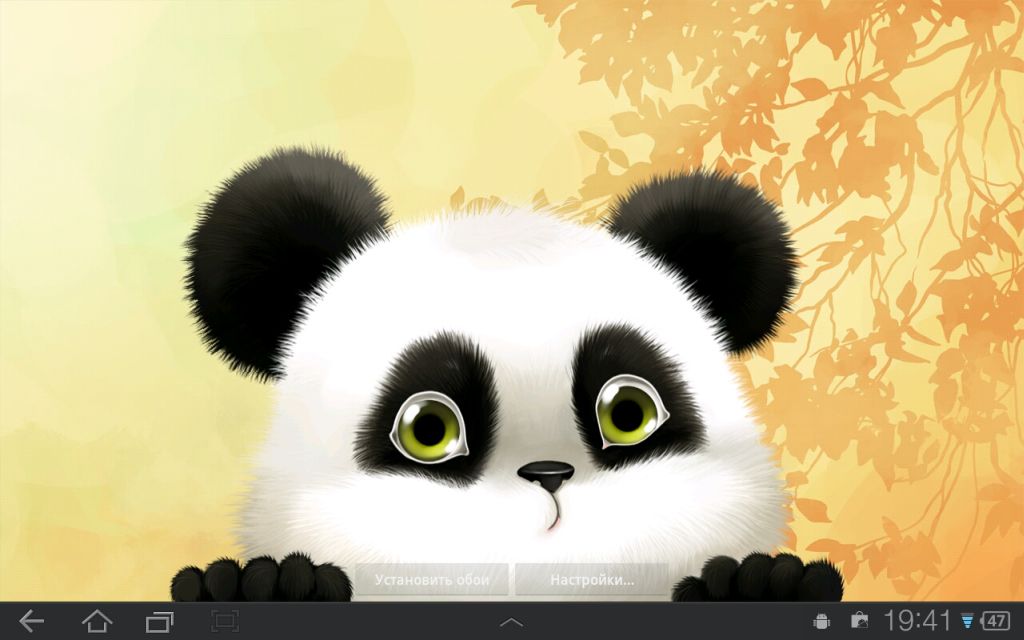 panda live wallpaper,panda,dibujos animados,dibujos animados,animación,hocico