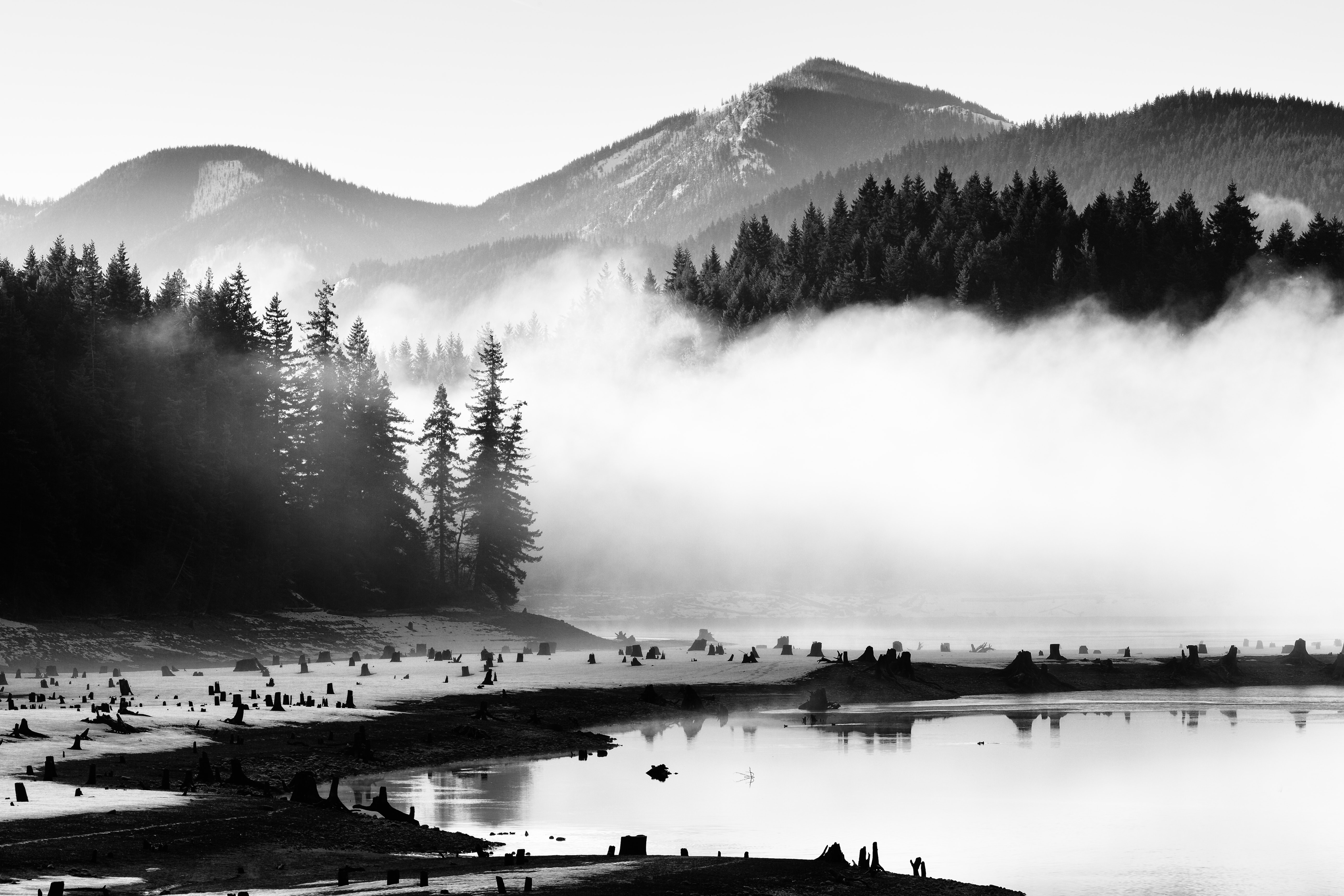 schwarz weiße tapete,natur,weiß,himmel,schwarz und weiß,natürliche landschaft