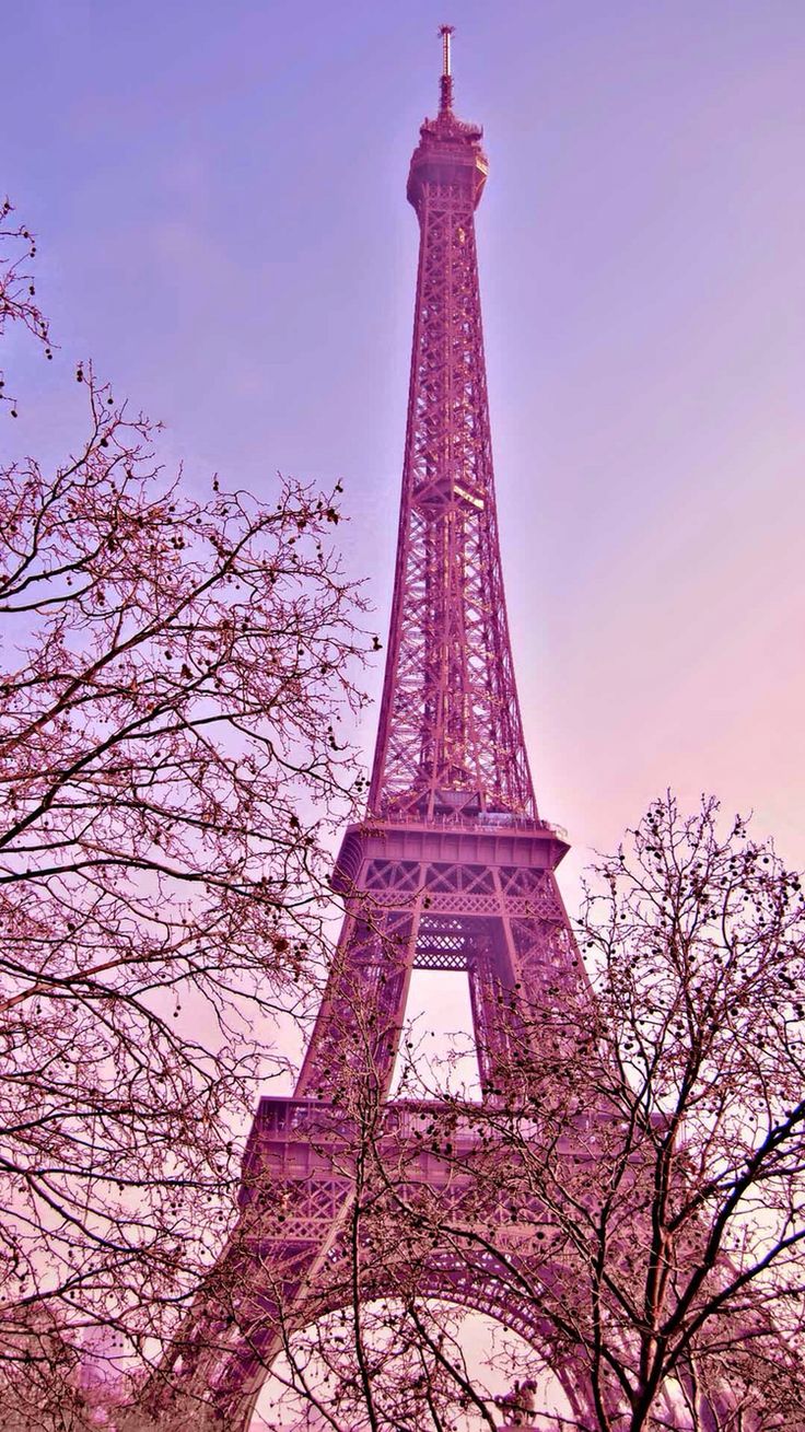 papier peint paris rose,la tour,rose,monument,architecture,arbre