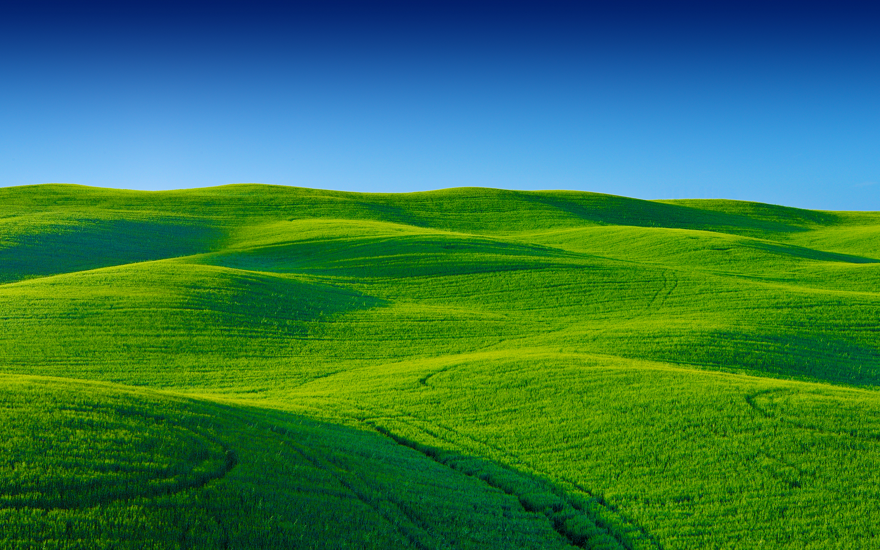 緑の壁紙 草原 緑 自然の風景 自然 フィールド 9458 Wallpaperuse