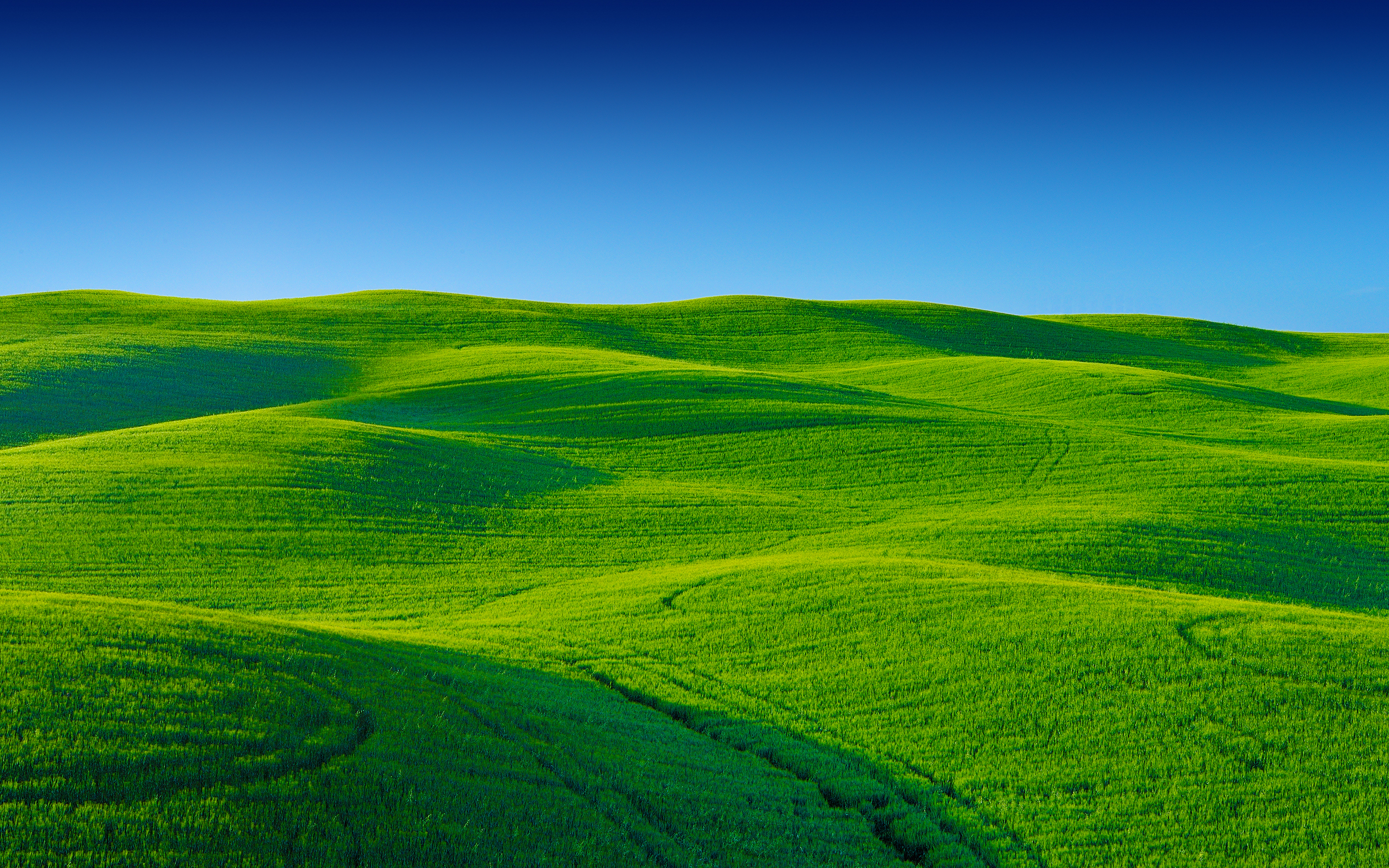 papier peint de verdure,prairie,vert,paysage naturel,la nature,champ