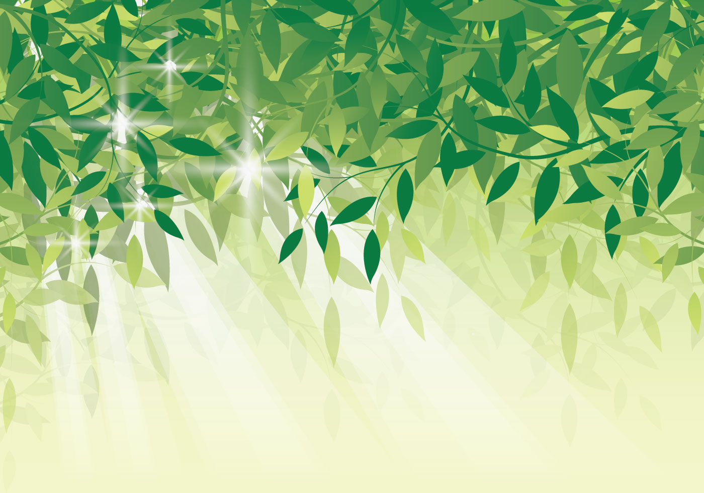 carta da parati daun,verde,foglia,albero,pianta,sfondo