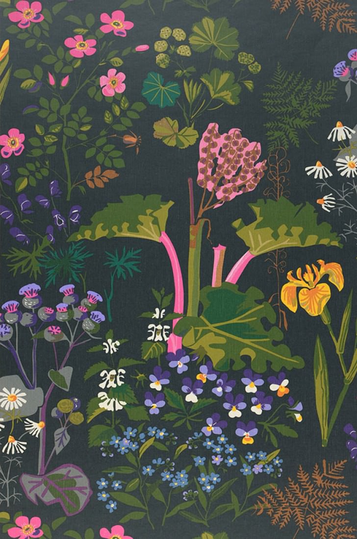 papel pintado singa,flor,planta,flor silvestre,planta floreciendo,primavera