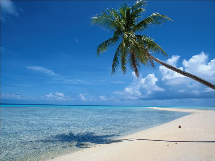 tapete pantai,himmel,baum,natur,palme,karibik