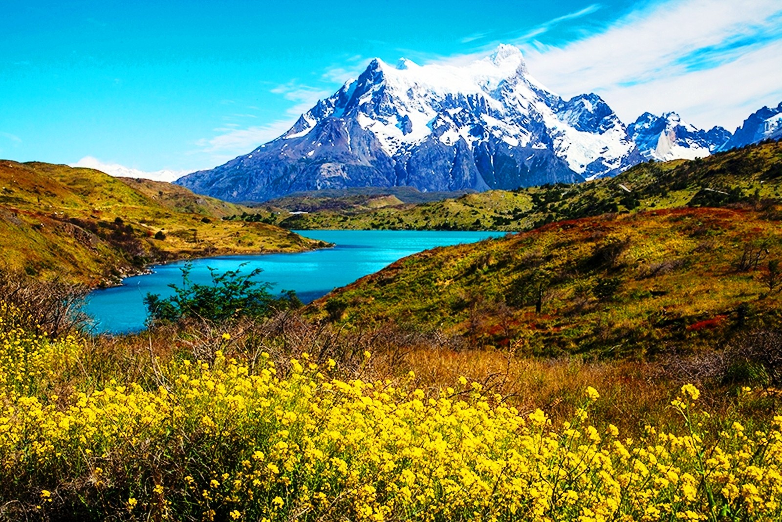 imágenes naturales fondos de pantalla descarga gratuita,paisaje natural,naturaleza,montaña,flor silvestre