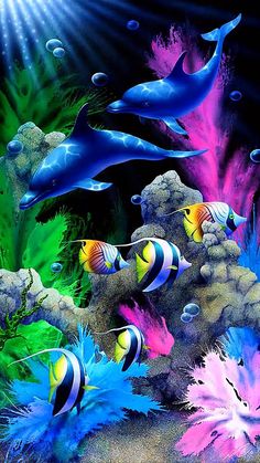 live wallpaper peces en el agua,biología marina,pez,pomacentridae,pez,peces de arrecife de coral