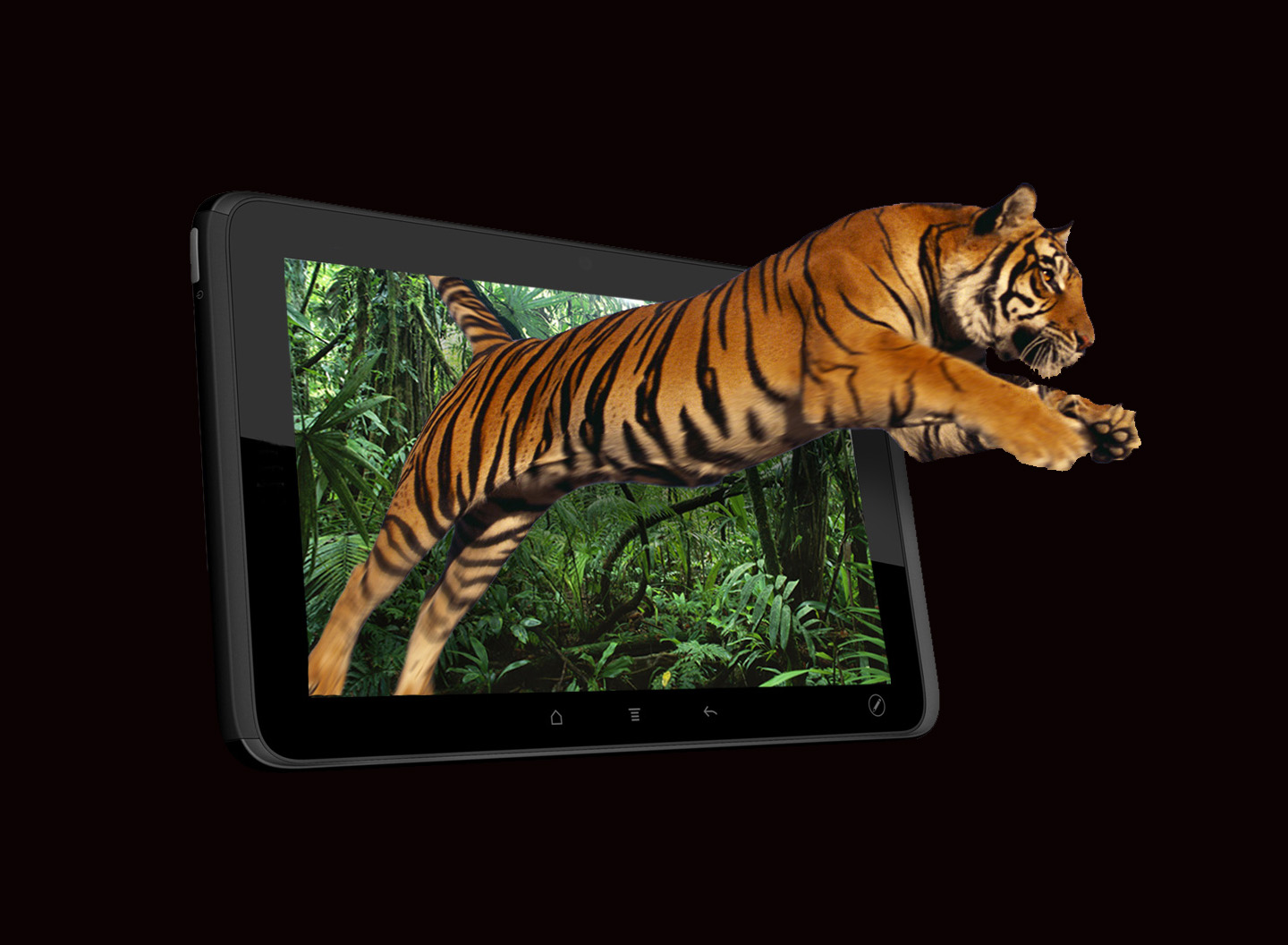 3d fonds d'écran hd pour mobile téléchargement gratuit,tigre,faune,tigre du bengale,tigre de sibérie,félidés