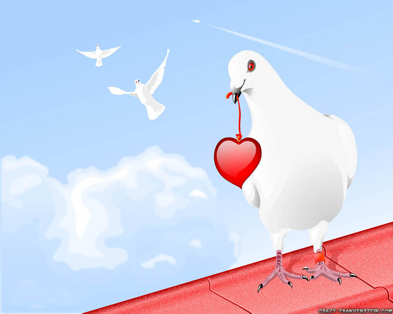 nombre de fondo de pantalla en el corazón,pájaro,rojo,cielo,gaviota,amor