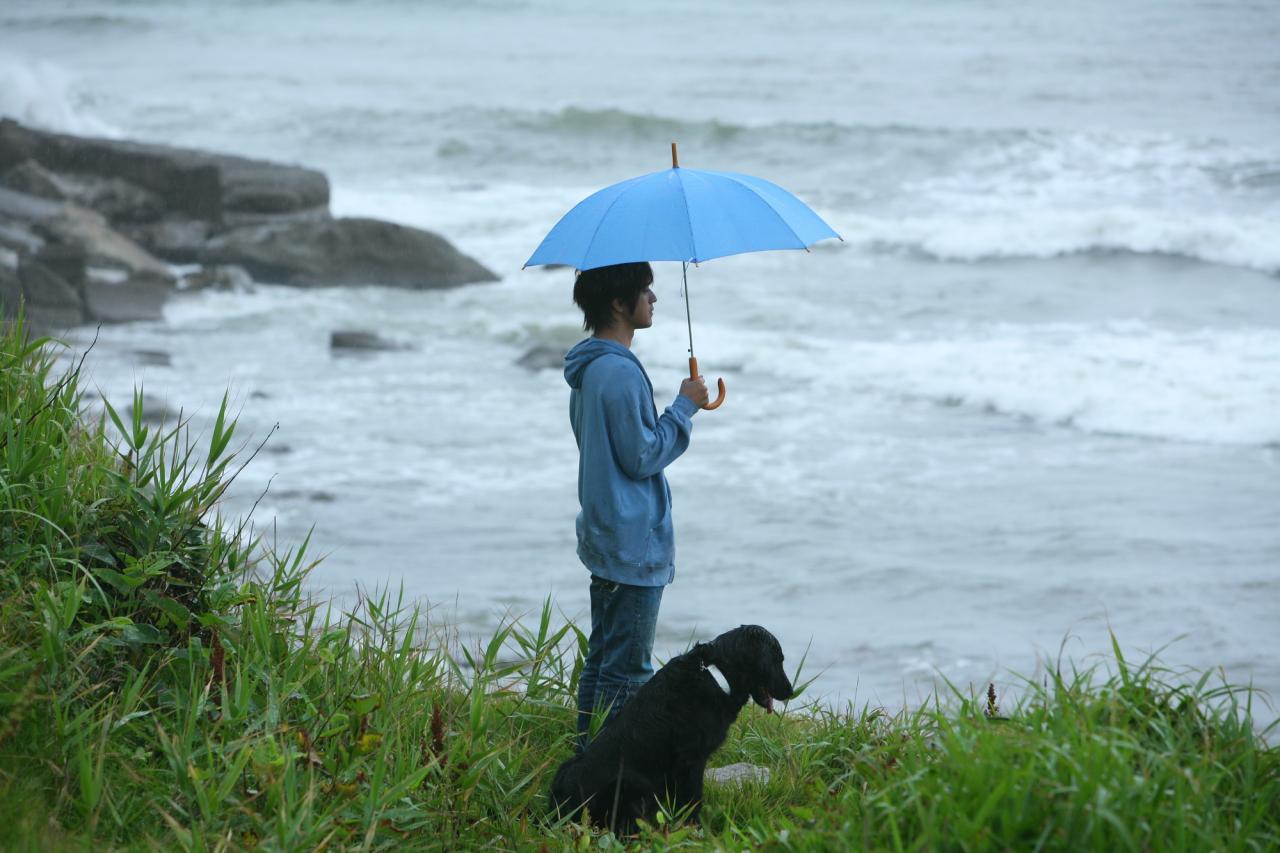 一人の少年の壁紙,傘,雨,海岸,写真撮影,海洋