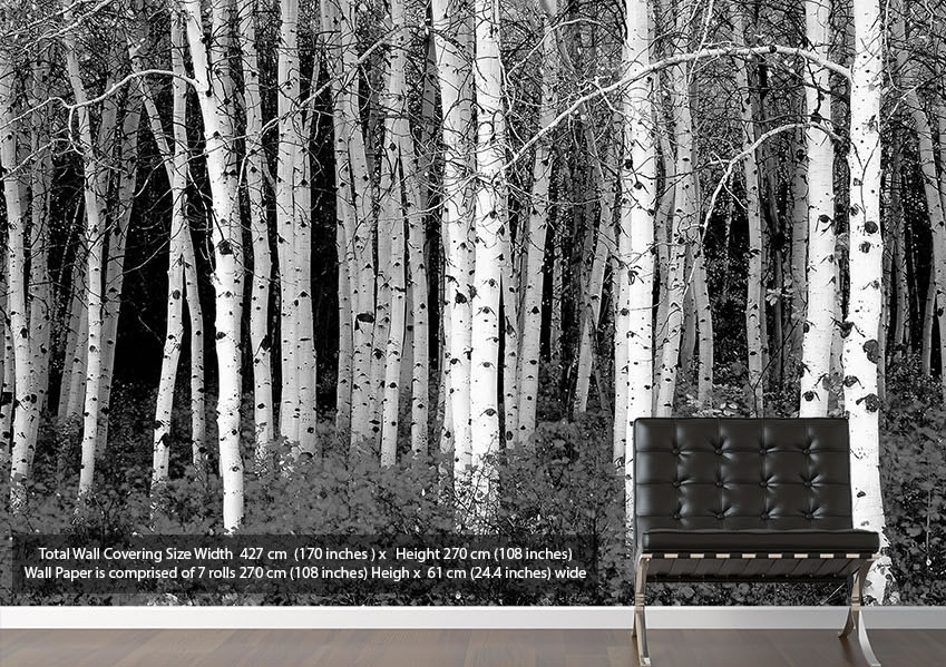 grey tree wallpaper,tree,birch,black and white,natural environment,natural landscape