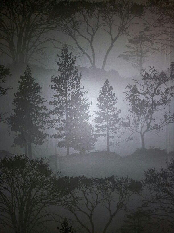 灰色の木の壁紙,自然,靄,空,霧,木