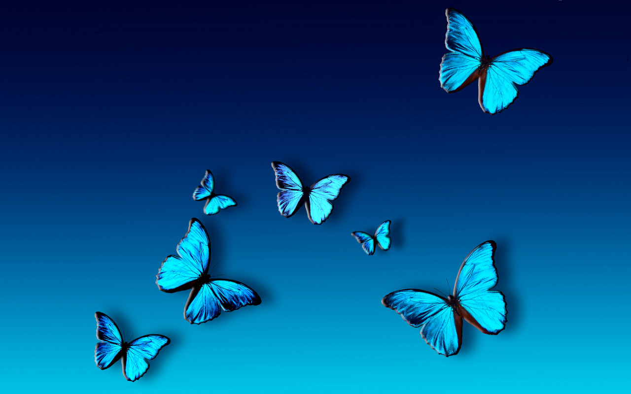 blue butterfly wallpaper,butterfly,blue,insect,moths and butterflies,azure