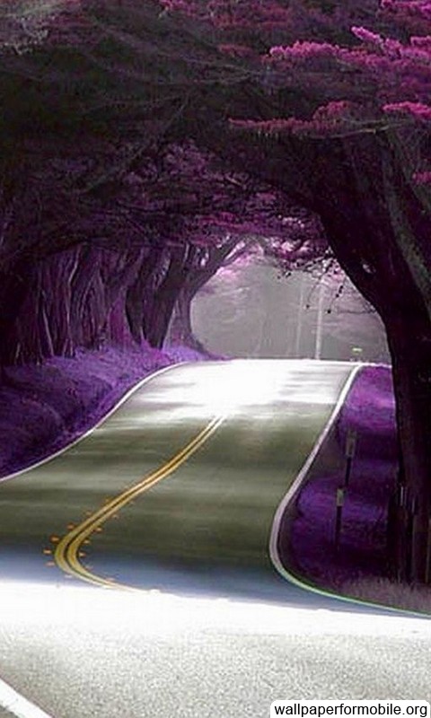 meilleur papier peint du monde pour mobile,violet,violet,tunnel,la grotte