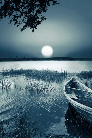 weltbeste tapete für handys,natürliche landschaft,natur,himmel,wasser,betrachtung