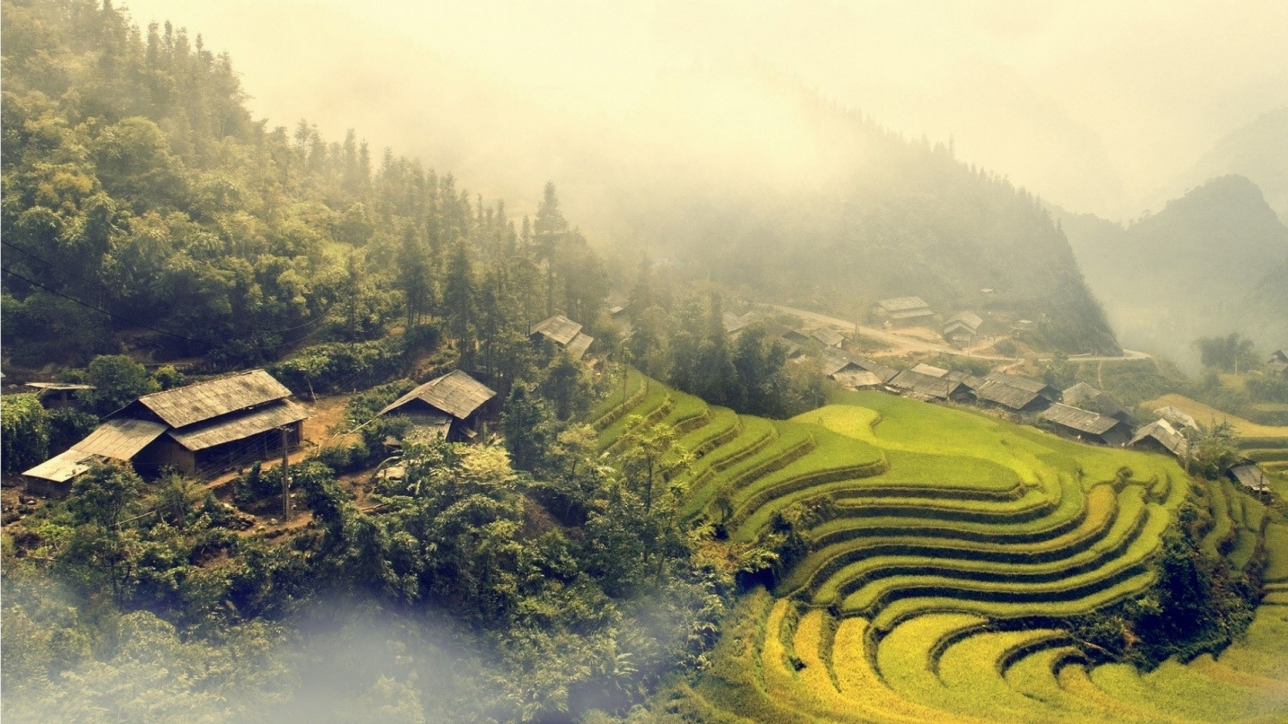 fond d'écran vietnam,terrasse,la nature,paysage,station de montagne