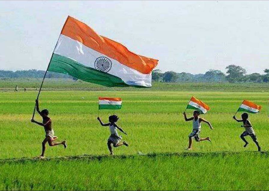 인도 독립 기념일 배경 화면 무료 다운로드,목초지,잔디,논,평원