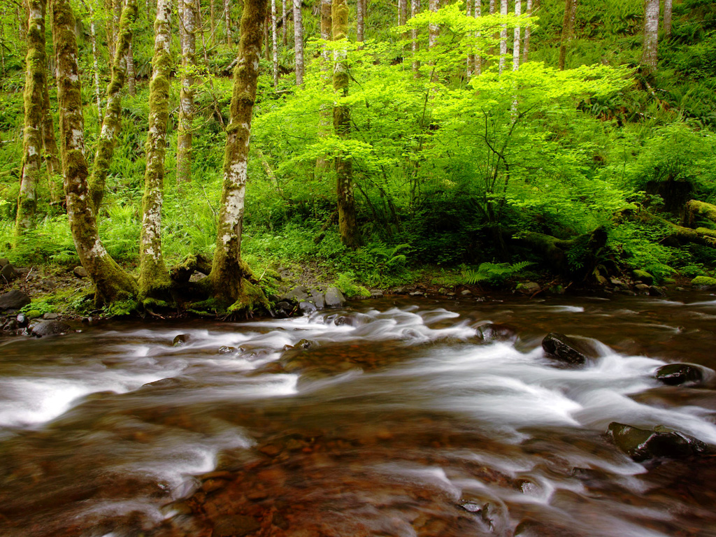 wallpaper natureza,body of water,natural landscape,nature,stream,water resources