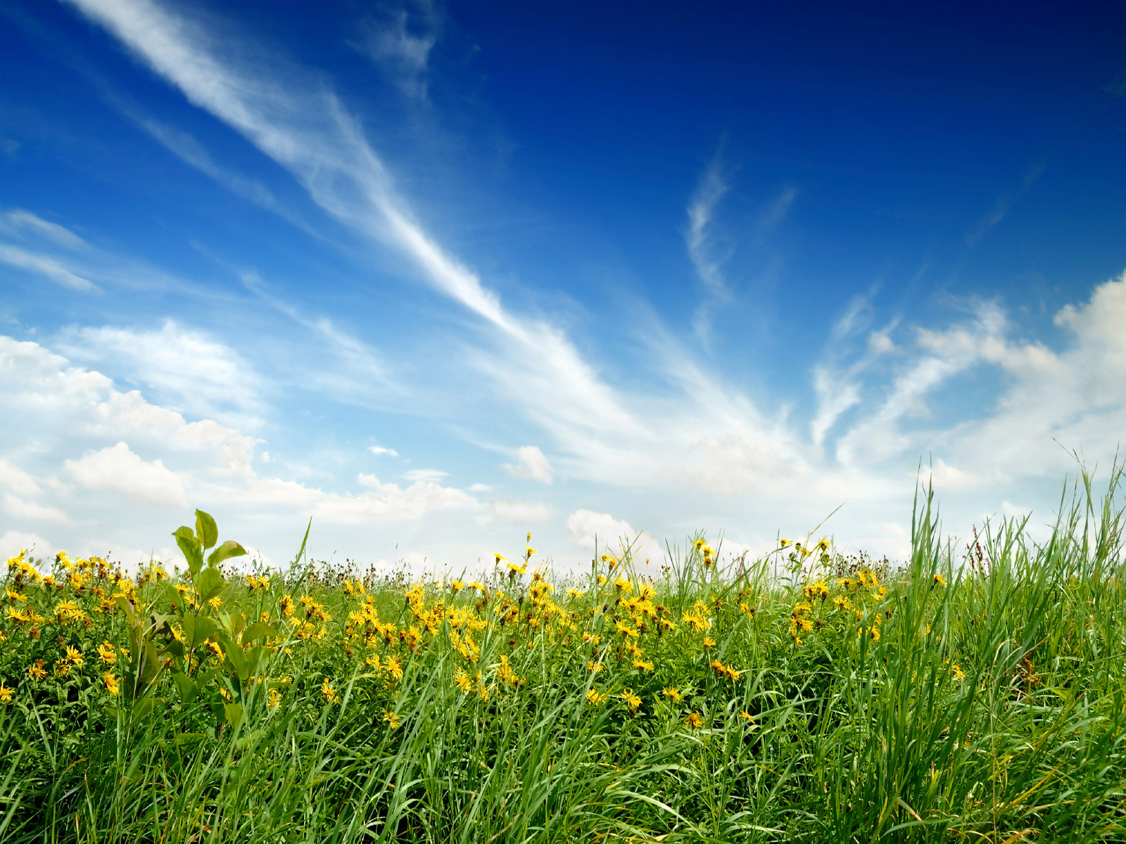 wallpaper natureza,sky,natural landscape,people in nature,nature,grassland