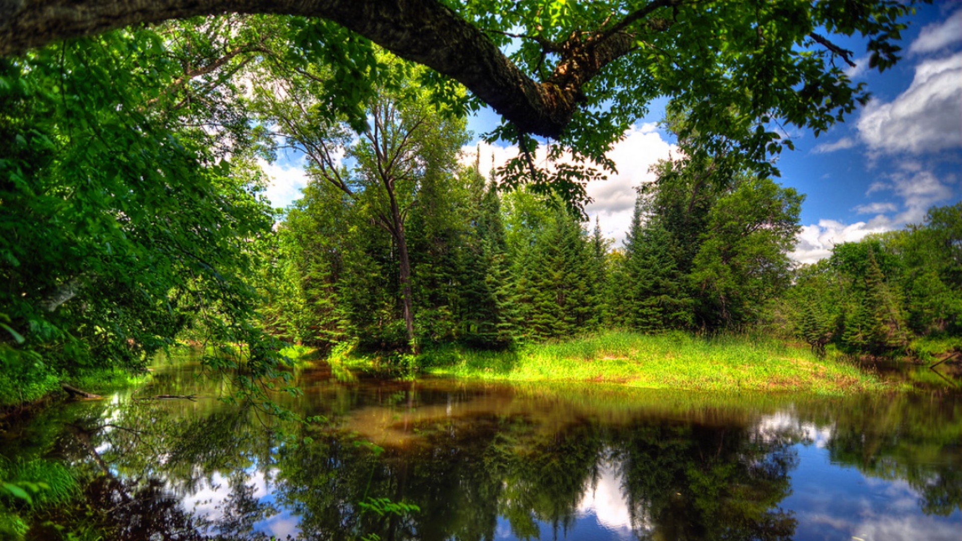 carta da parati natureza,paesaggio naturale,natura,riflessione,corpo d'acqua,albero