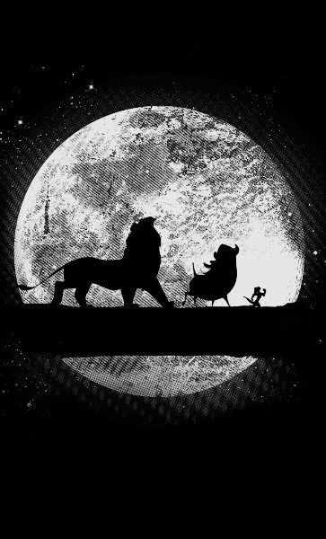 lion,noir et blanc,faune,félidés,photographie monochrome