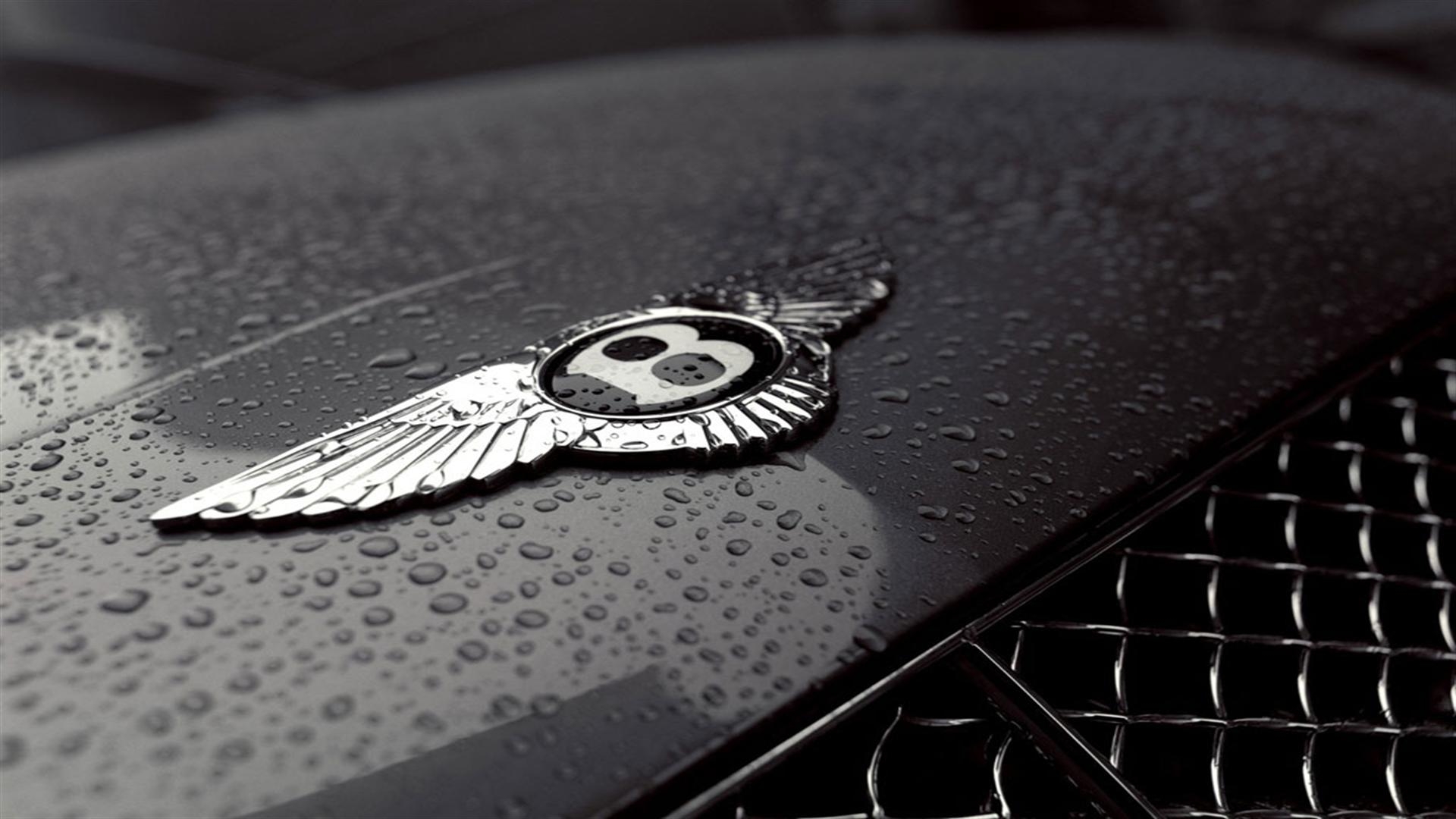 car logo wallpapers,wing,black and white,bentley,feather,owl