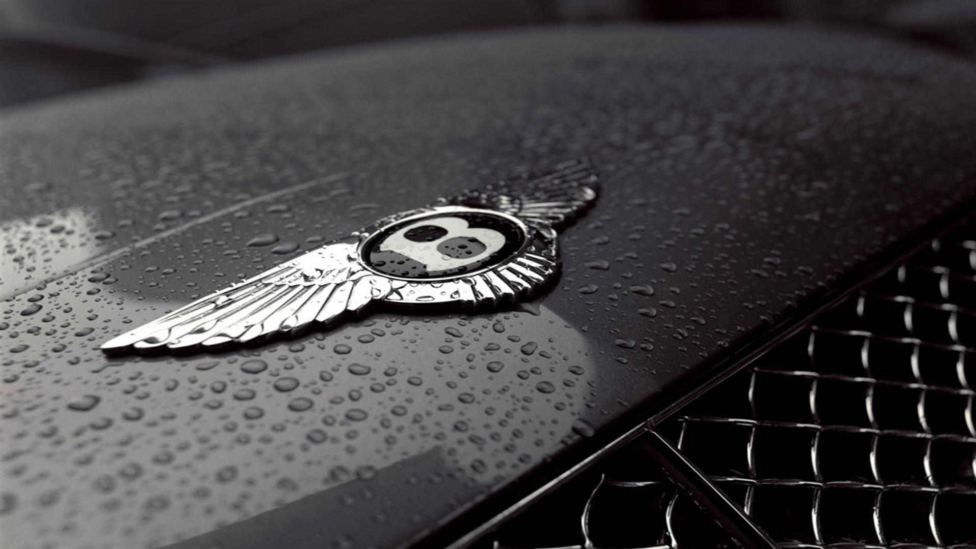 fonds d'écran de logo de voiture,aile,noir et blanc,bentley,plume,hibou