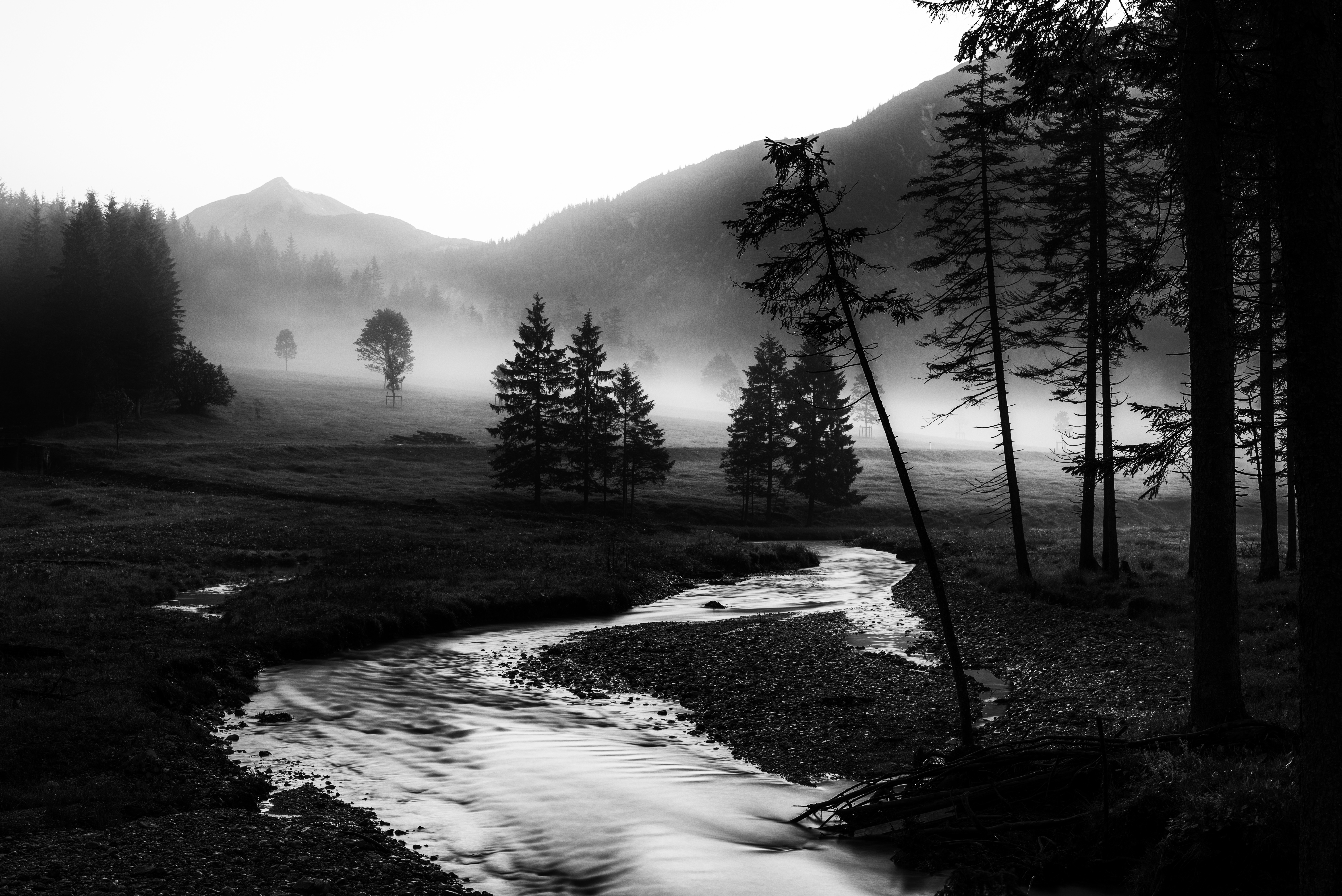 tapete preto,natur,natürliche landschaft,schwarz,weiß,himmel