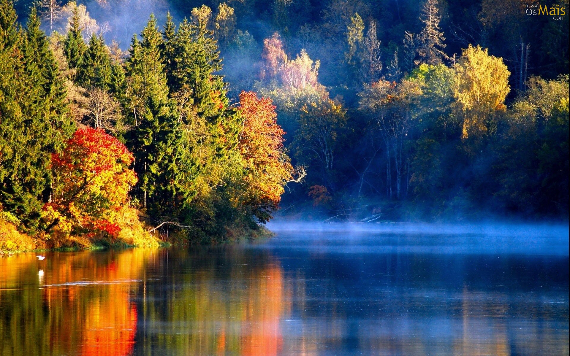 wallpaper paisagem,natural landscape,nature,reflection,water,tree