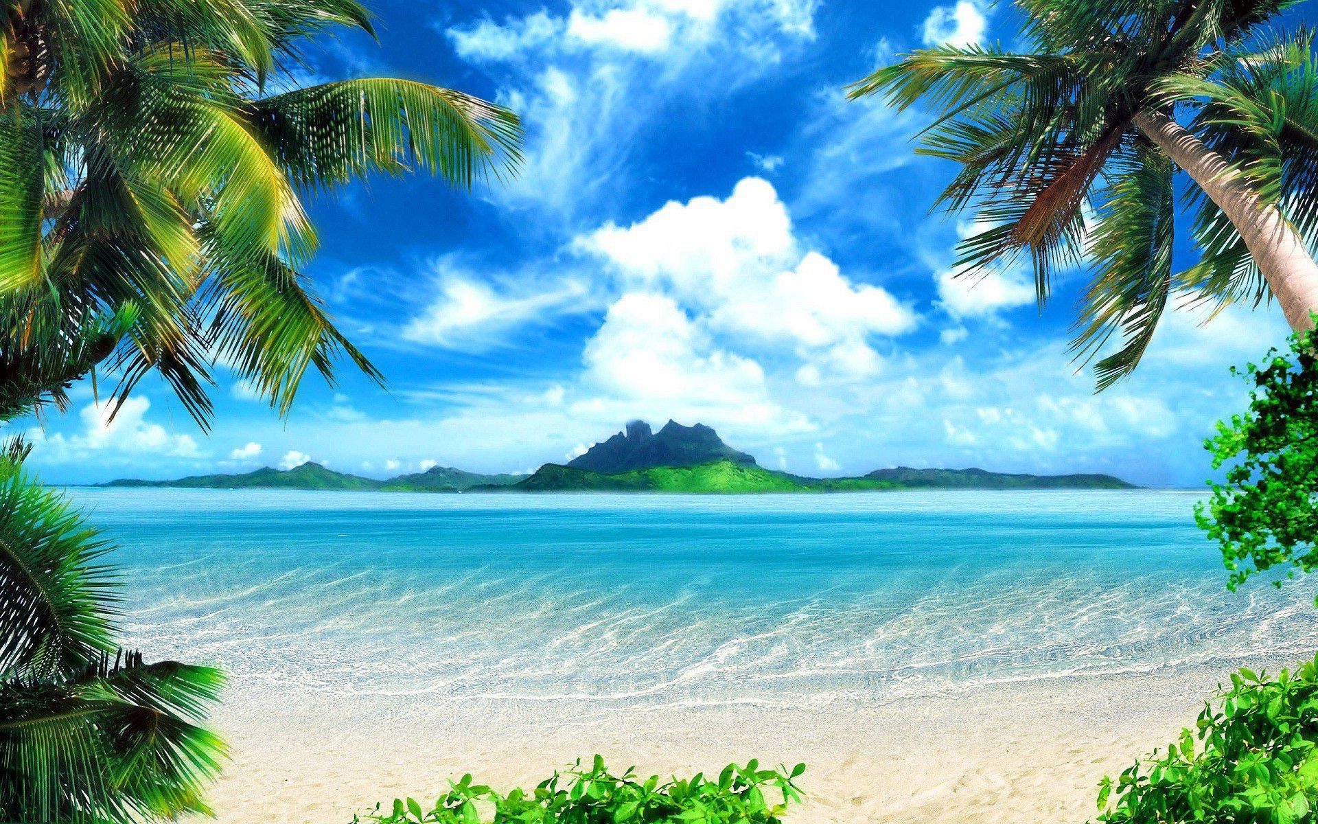 beach scene wallpaper,tropics,natural landscape,body of water,nature,sky