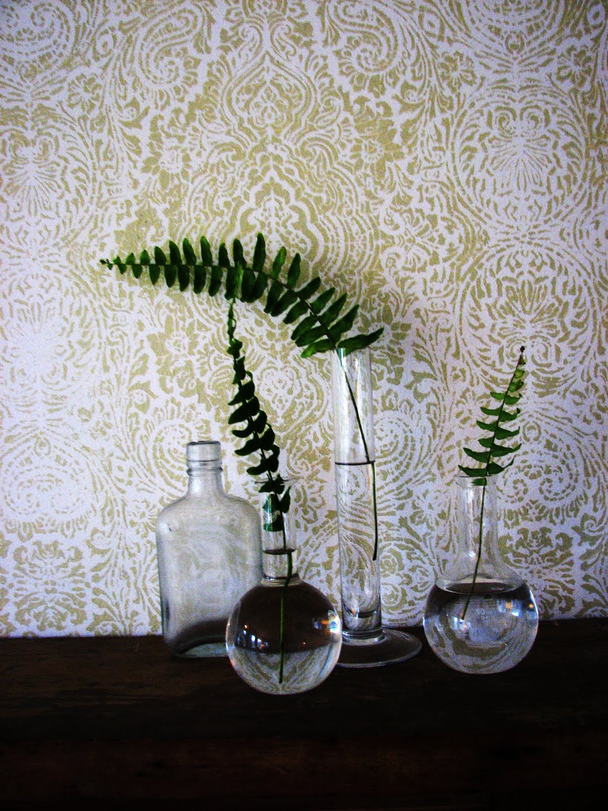 pochoirs de papier peint,vert,photographie de nature morte,plante,verre,plante d'appartement