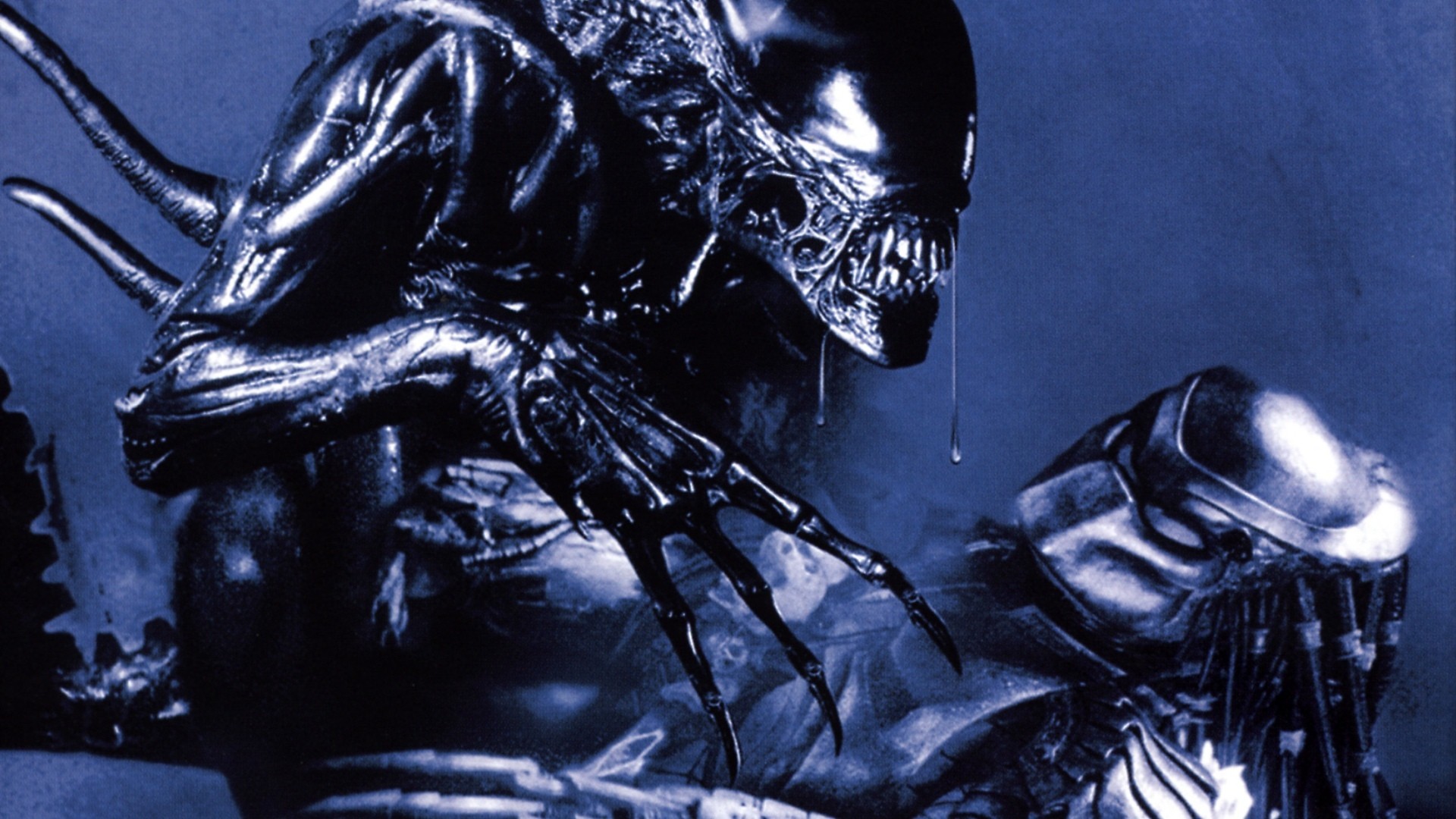 alien vs predator wallpaper,darkness,fictional character,fiction,cg artwork,movie