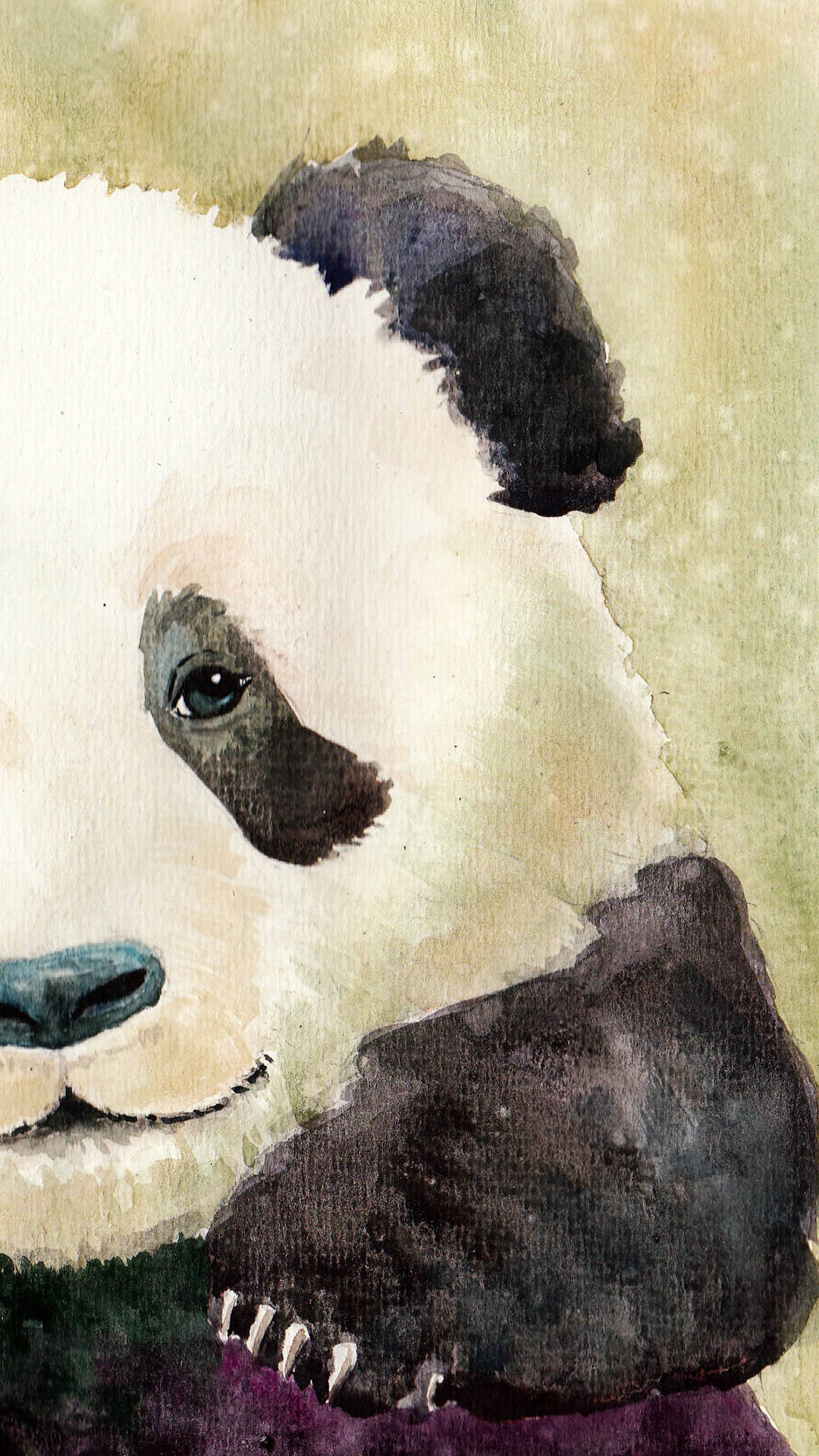 fond d'écran panda iphone,panda,museau,animal terrestre,ours,peinture aquarelle