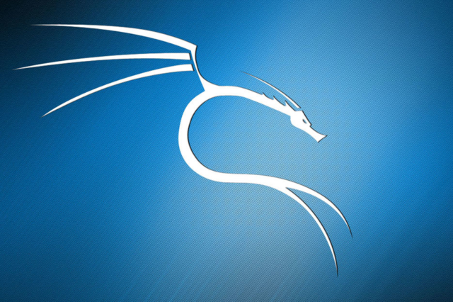 칼리 리눅스 벽지,푸른,하늘,디자인,제도법,폰트