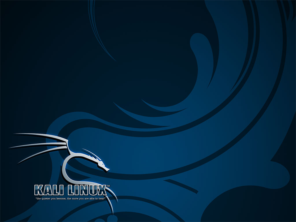 칼리 리눅스 벽지,푸른,그래픽 디자인,폰트,강청색,제도법