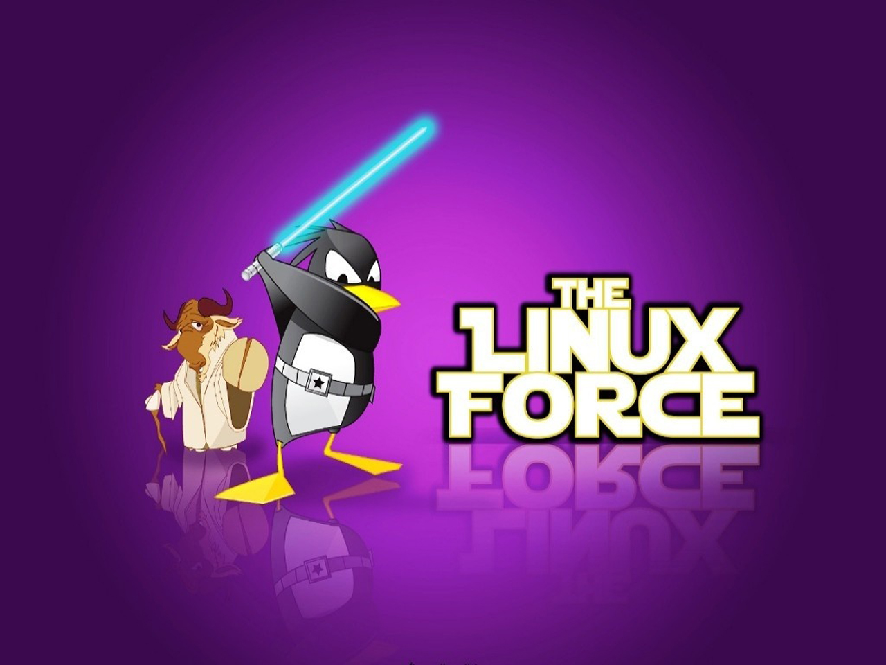 linux wallpaper hd,flightless bird,animated cartoon,penguin,cartoon,animation