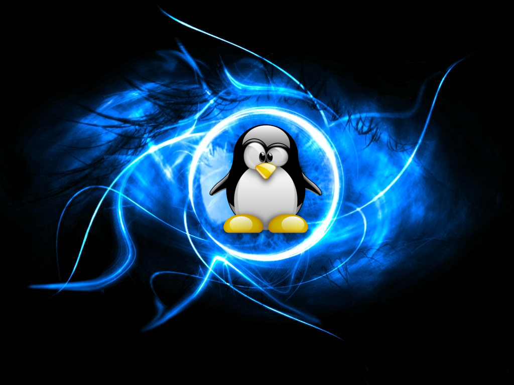linux wallpaper hd,flightless bird,penguin,bird,animated cartoon,graphics