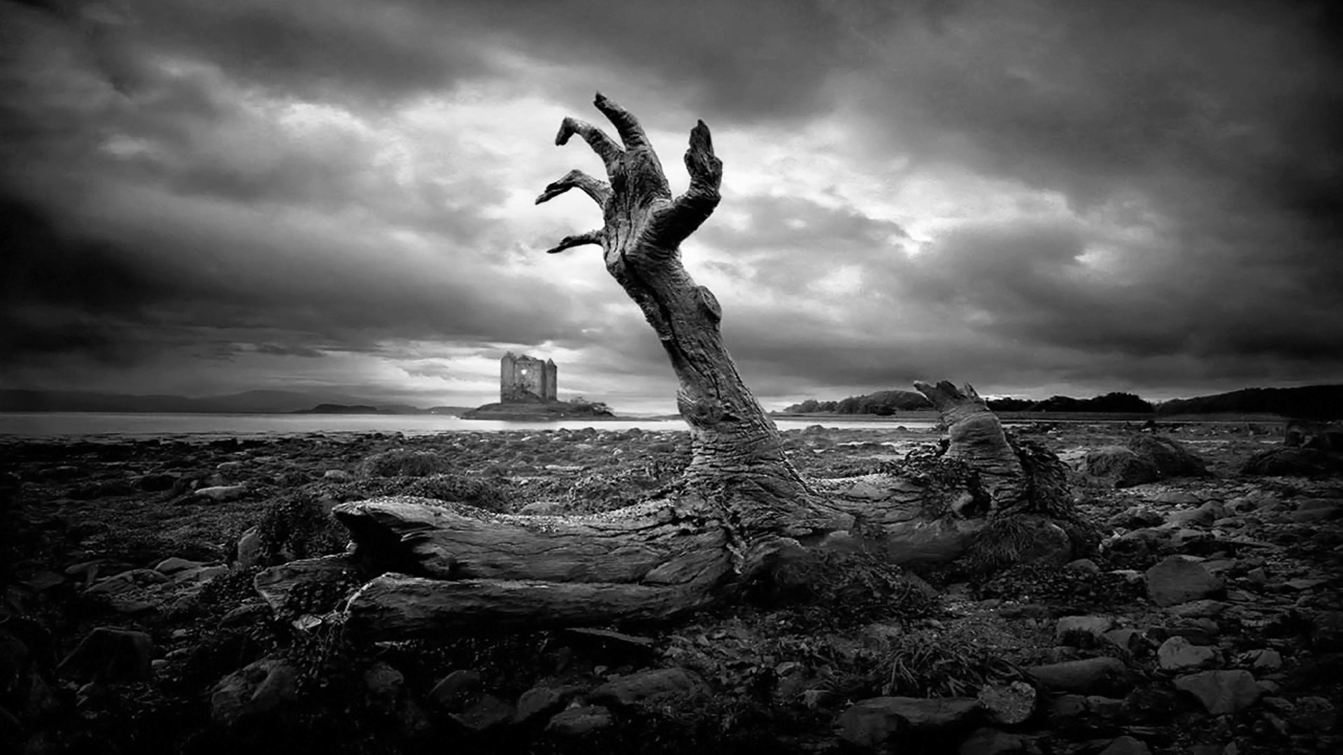 papier peint monochrome,ciel,la nature,noir,noir et blanc,arbre