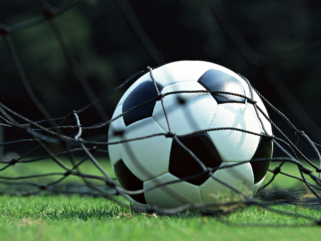 wallpaper bola,soccer ball,football,ball,grass,net