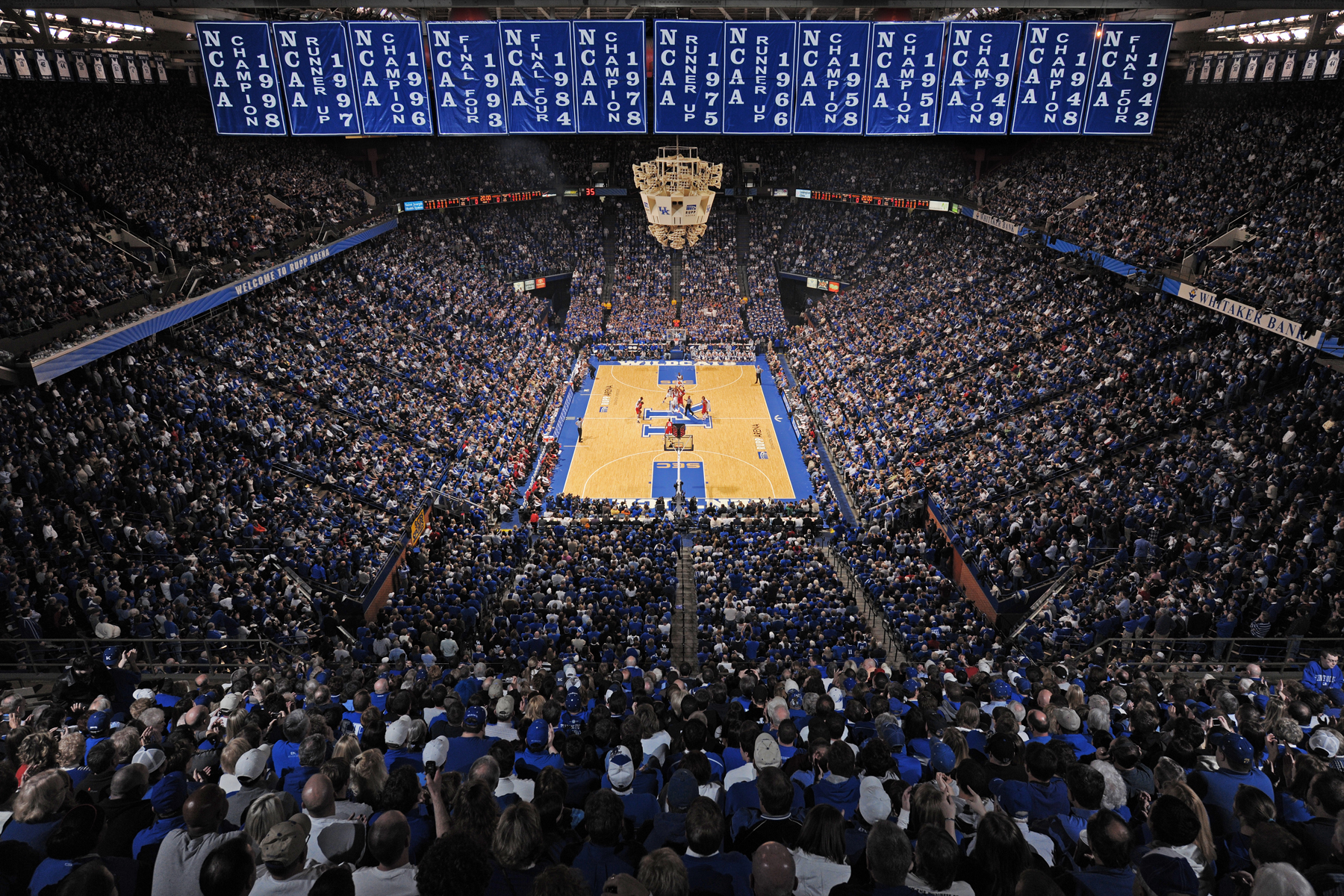basket ball fond d'écran en direct,foule,ventilateur,public,stade,maison de terrain