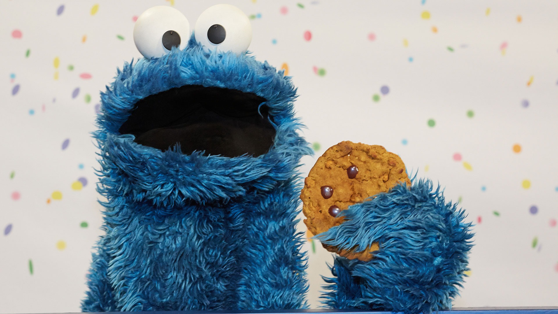 cookie monster wallpaper,blau,plüschtier,spielzeug,türkis,plüsch