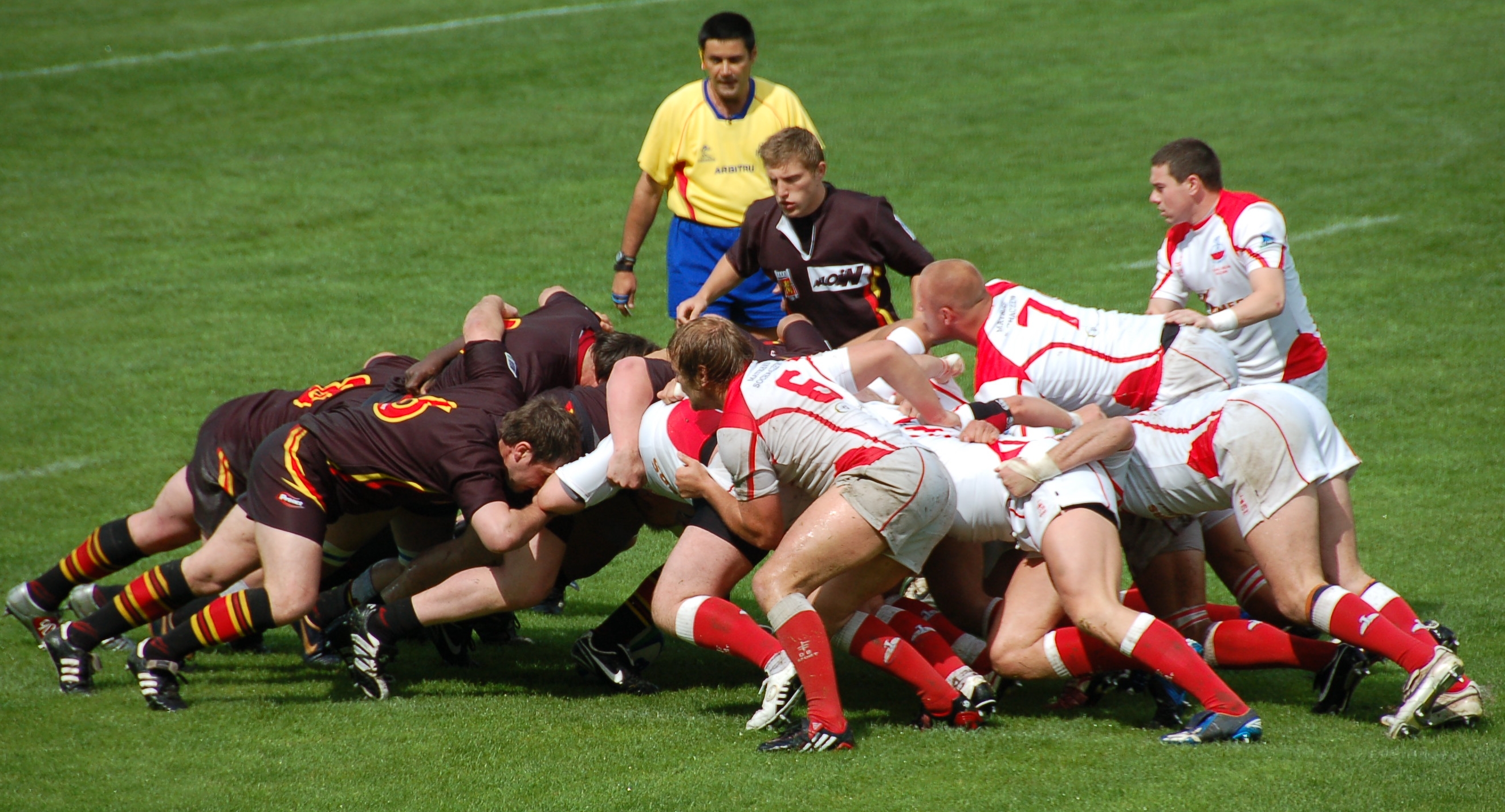 fondo de pantalla de rugby,deportes,equipo,jugador de rugby,jugador,sindicato de rugby