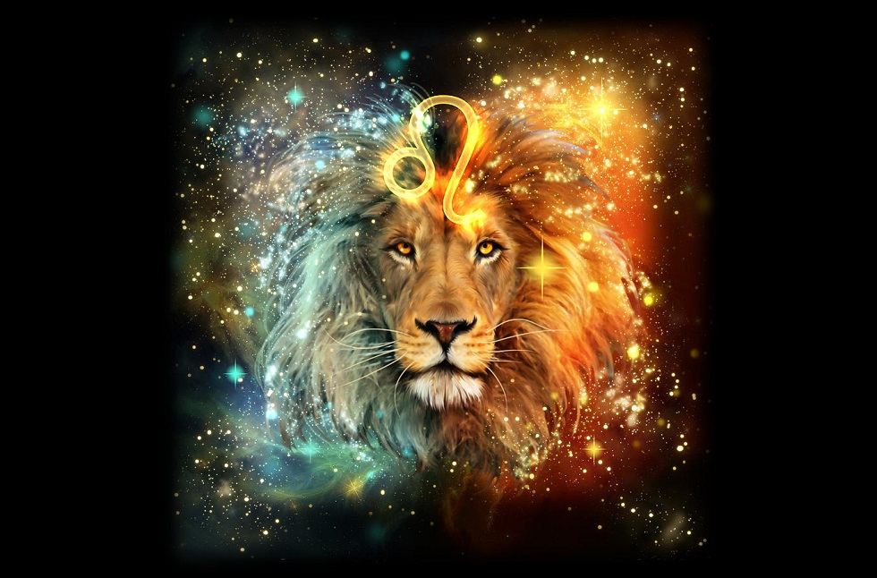 leo wallpaper,lion,felidae,wildlife,big cats,organism