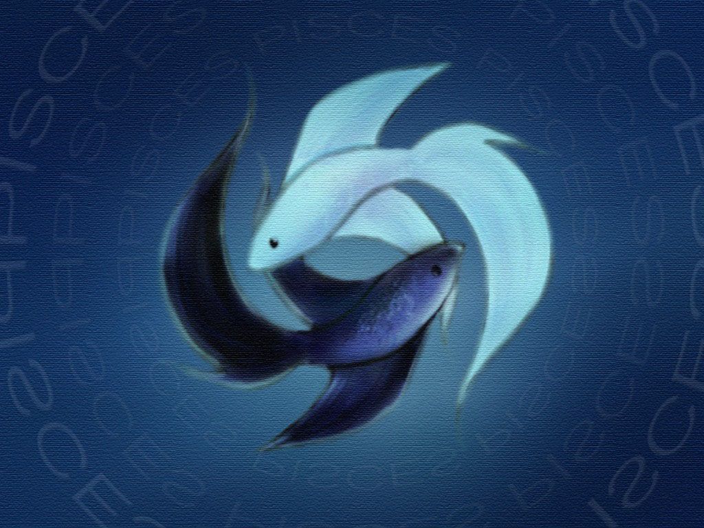 fondo de pantalla de piscis,delfín,delfín nariz de botella común,fuente,mamífero marino,ilustración