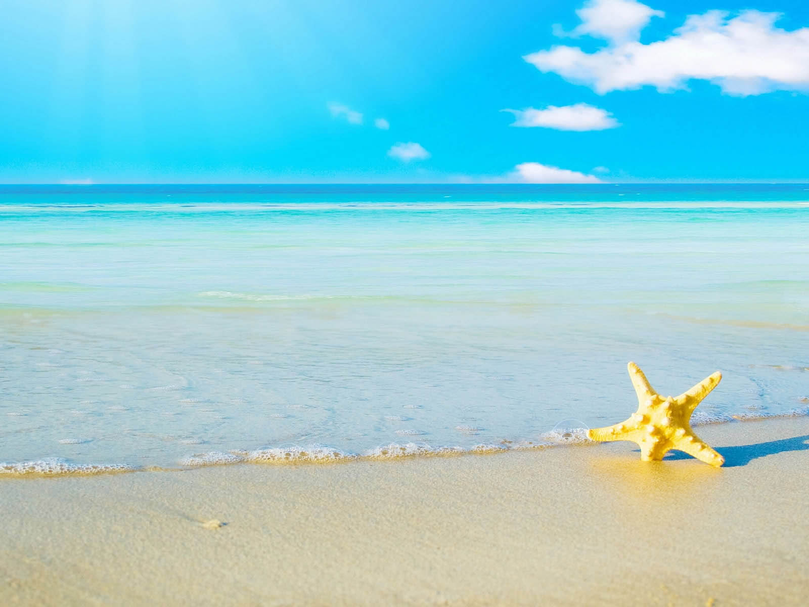 papel pintado temático de playa,cielo,mar,estrella de mar,oceano,azul