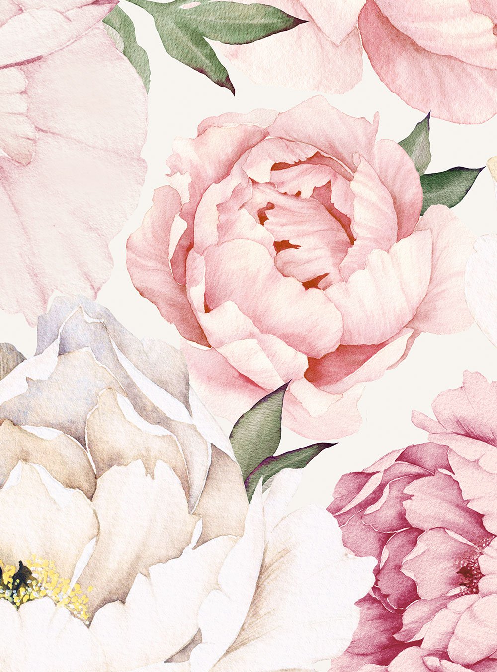ウォールアート壁紙,花,開花植物,庭のバラ,花弁,ピンク