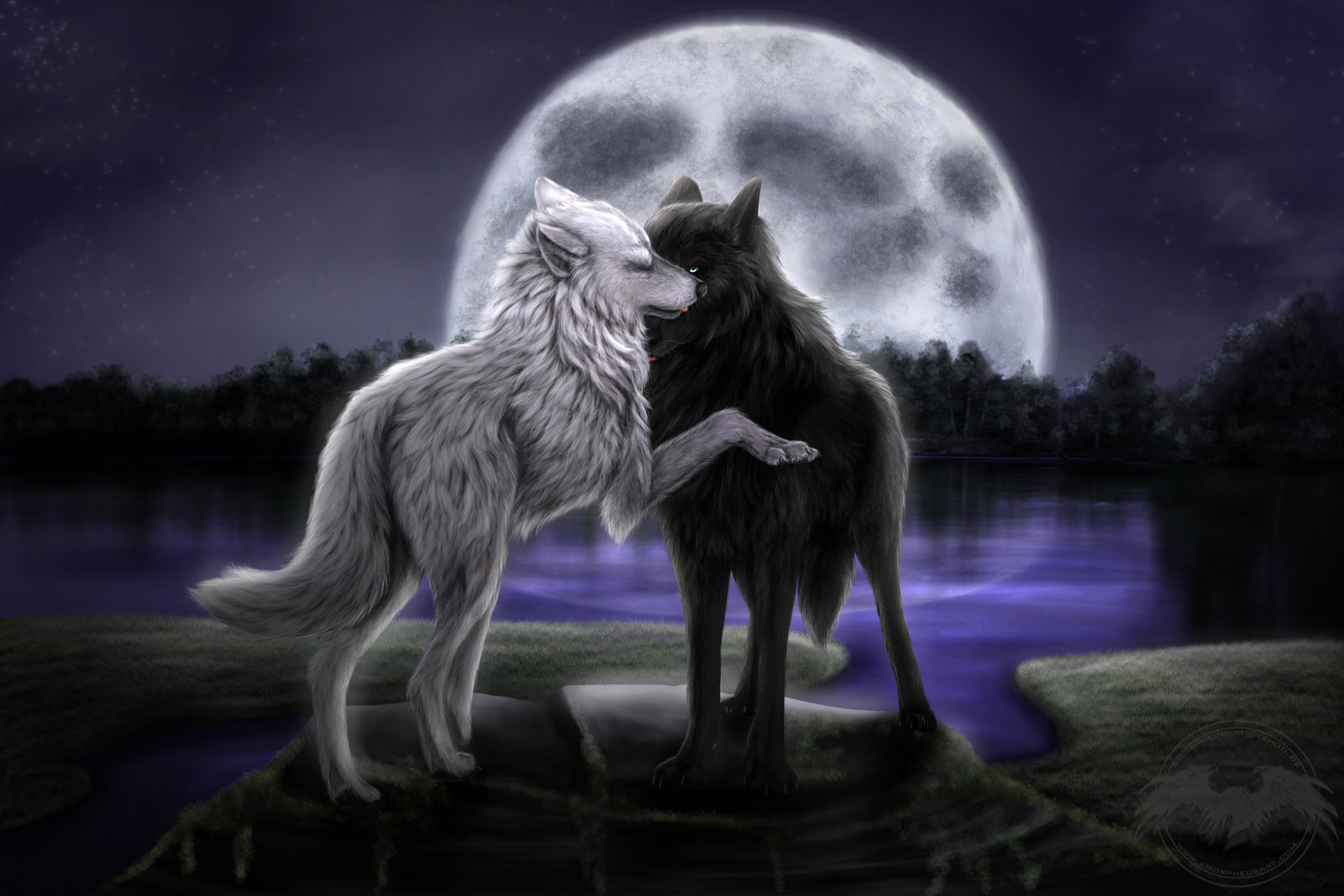 アニメオオカミの壁紙,狼,月光,月,光,空