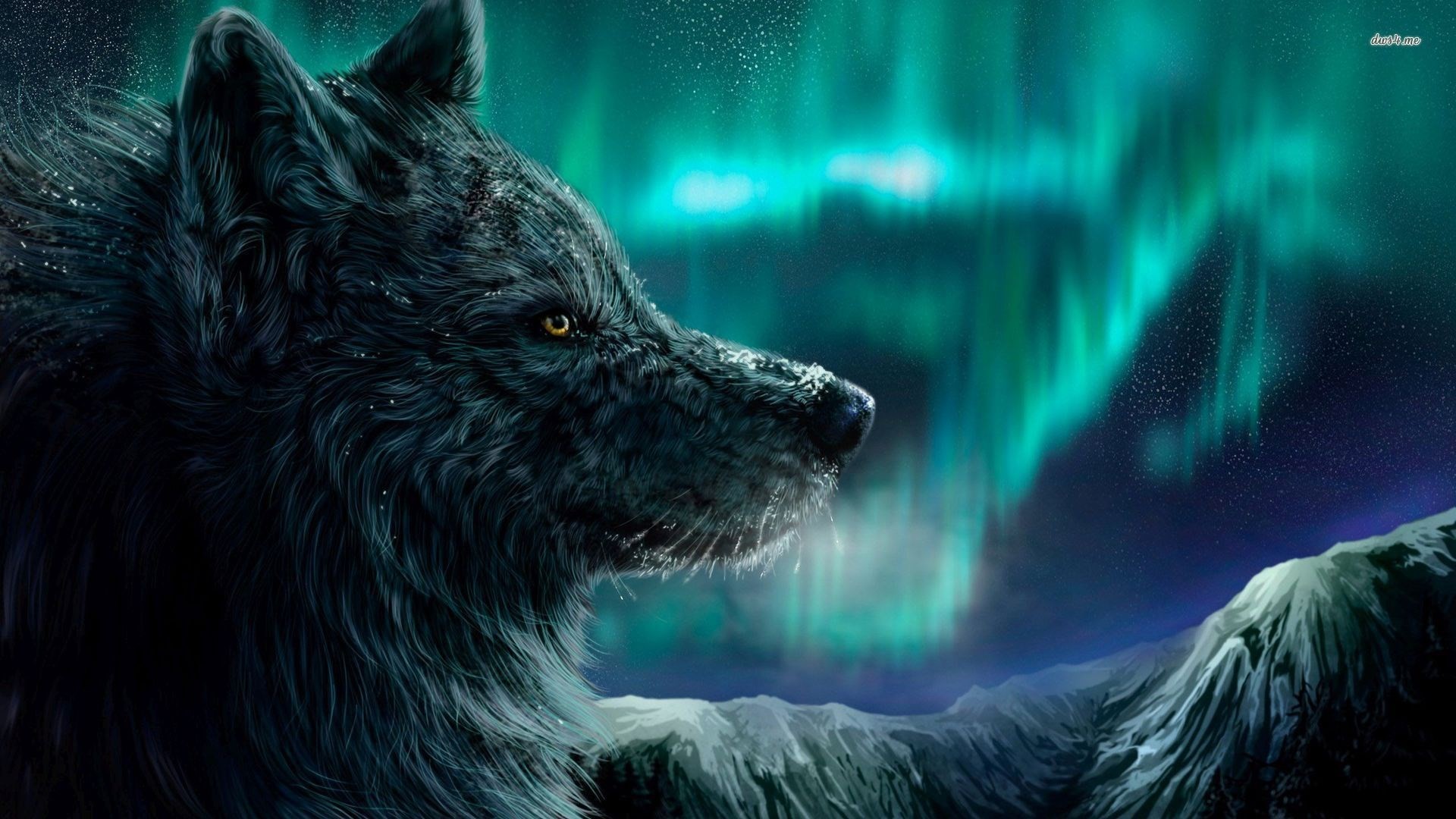 anime wolf wallpaper,lobo,naturaleza,hombre lobo,personaje de ficción,hocico